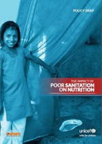 cover_chitty_impact-sanitation-nutrition